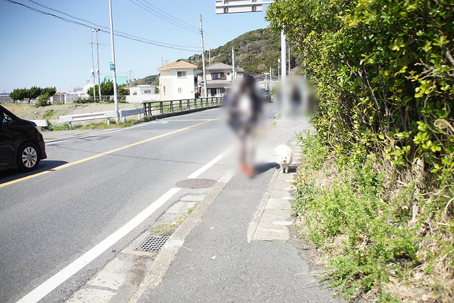 大きな道沿いの歩道を歩くワンコと人の写真