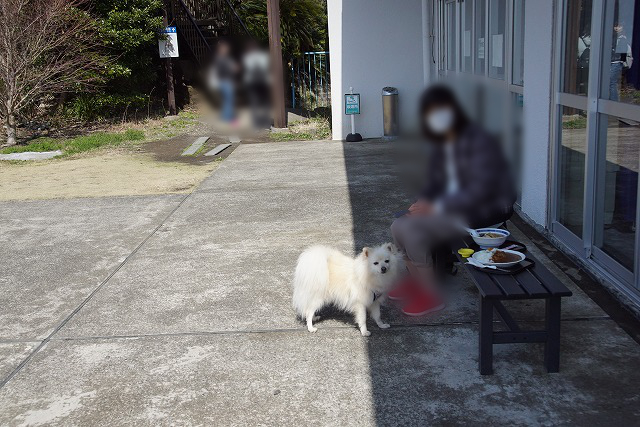 ベンチに座る人とそばに立つワンコ、ベンチに置かれた料理の写真