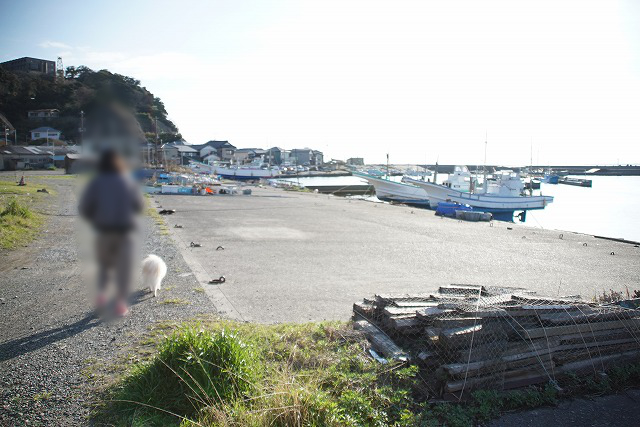 海に浮かぶ何艘かの船と、少し離れて歩くワンコと人の写真