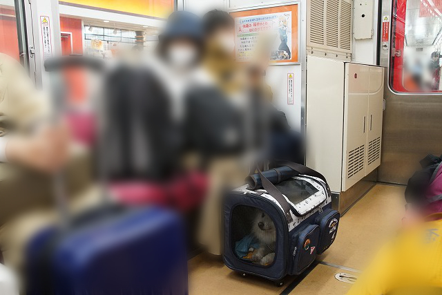 電車の床に置かれたキャリーに入ったイヌの写真