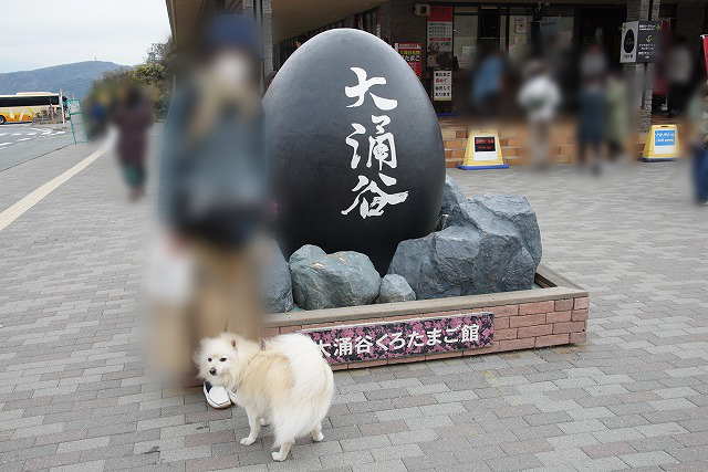 「大涌谷」と書かれた大きな黒たまごのオブジェの前でお尻を見せるイヌの写真