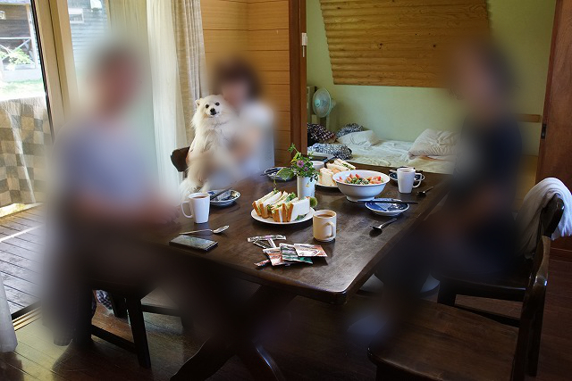 朝食のパンやサラダが乗ったテーブルを3人が囲む写真。1人は白いイヌを抱いている