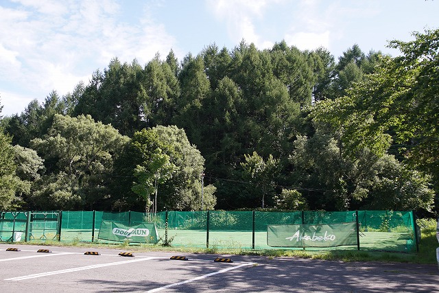 Photo of the plaza surrounded by green netting in front of the forest