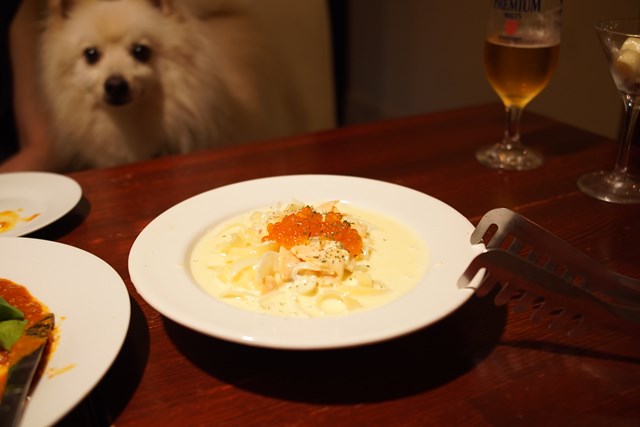 Foto de un plato con una salsa blanca que empapa la pasta con huevas de pescado y pescado por encima. Un perro blanco vigila por allí