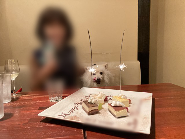 Foto de persona y perro blanco alineados delante de un plato con las palabras 