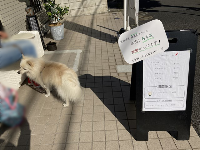 看板と、ベンチに座った人に向かって立つ白い犬の写真