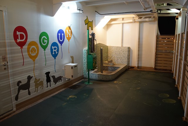 Foto de todo el corral para perros. En la pared hay un dibujo de una silueta canina y un globo con las letras 'DOGRUN' en cada uno. A la derecha, se puede ver la 