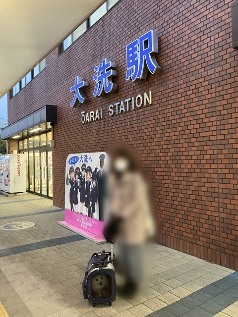 「大洗駅」と書かれた壁の前、白いイヌが入ったキャリーと人の写真