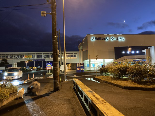 El edificio de la terminal del ferry se ve en el extremo derecho de la foto. Al otro lado de la carretera, un perro blanco y una persona están a la izquierda en el primer plano.