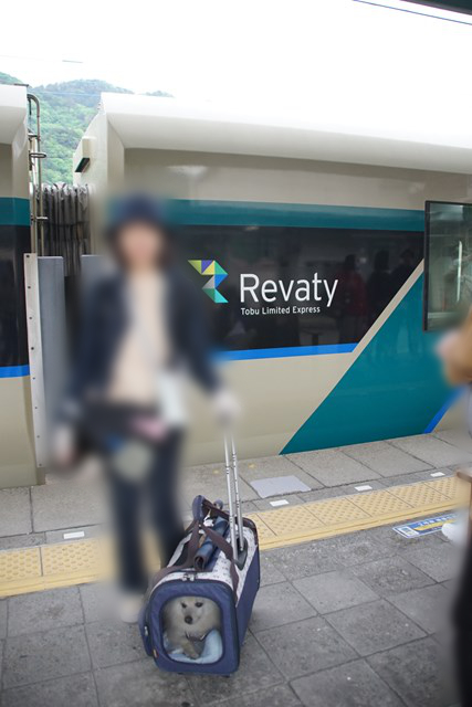 「Revaty」と書かれた列車の前に立つ人とキャリーに入った白いイヌの写真