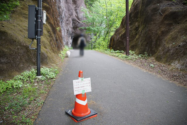 トンネルに向かう白いイヌと人の写真。手前にカラーコーンがあり、注意書きが貼られています