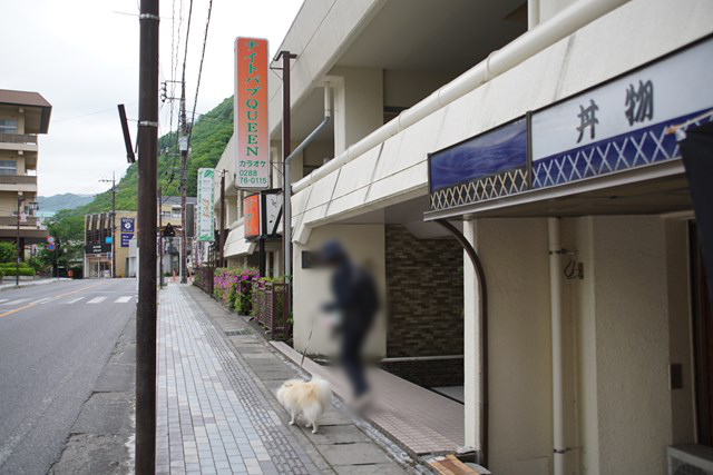 町並みを歩く白いイヌと人の写真。「丼物」「ナイトパブQUEENカラオケ」などの看板が見えます