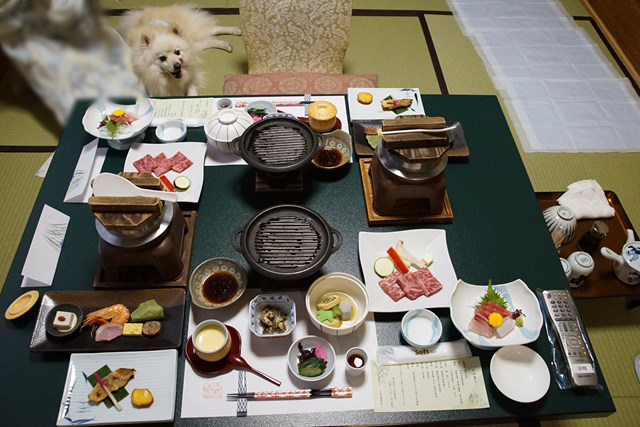 お膳に並べられた夕食を上から写した写真。お膳の向こう側に、白いイヌが畳に寝そべっています