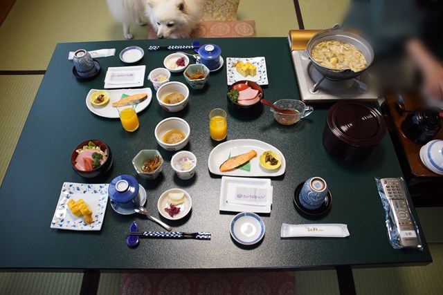 お膳に並べられた朝食を上から写した写真。白いイヌがお膳の向こうからお膳の上の料理を見ています