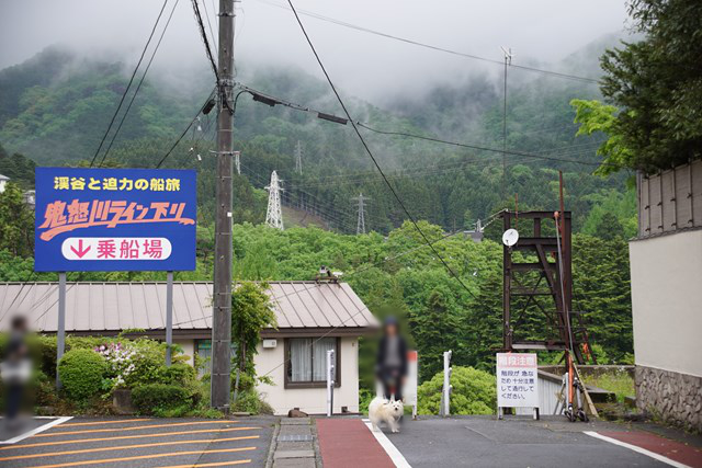 道路に立つ白いイヌと人の写真。左には「渓谷と迫力の船旅 鬼怒川ライン下り 乗船場」という看板があります