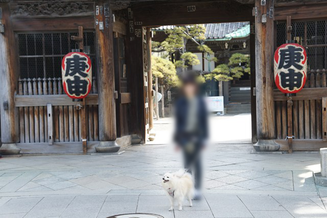 立つ人と白いイヌの写真。提灯に「庚申」と書かれています