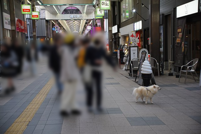 白いイヌのリードを持って歩く2人の人の写真