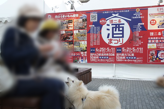 「狸二条酒まつり」の看板の前のベンチに座る2人の人と、足下で人に向かって吠える白いイヌの写真。イヌの後ろには別のイヌが見えます