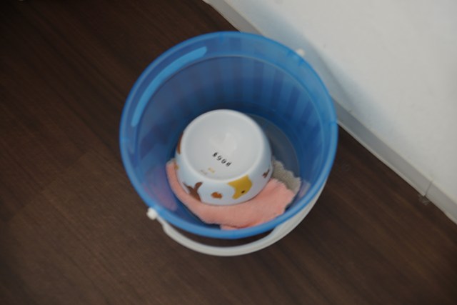 皿とタオルが入ったバケツの写真