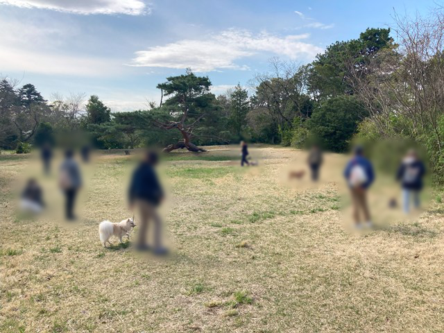 イヌと飼い主が6組ほど集まった写真