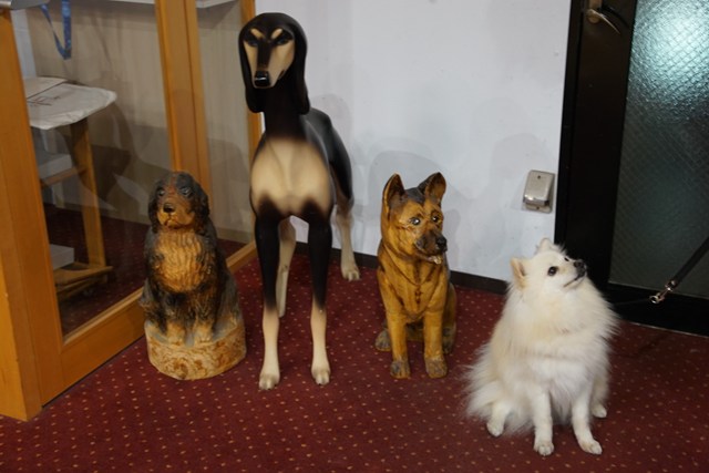3つのイヌの置物に並んてお座りする白いイヌの写真