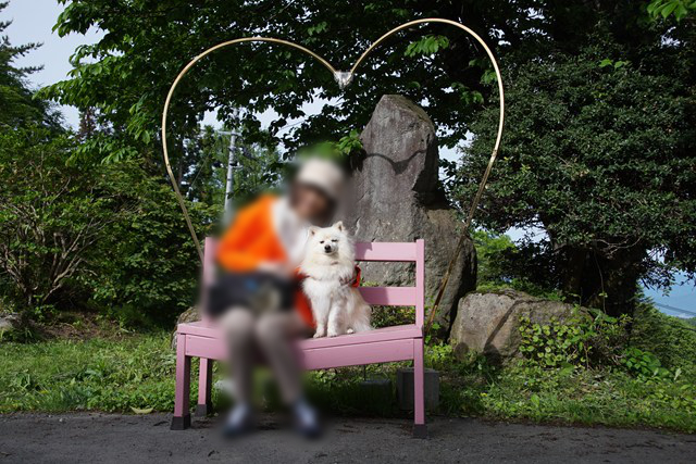 ハート型のフレームの手前の、ピンク色のベンチに座る人と白いイヌの写真