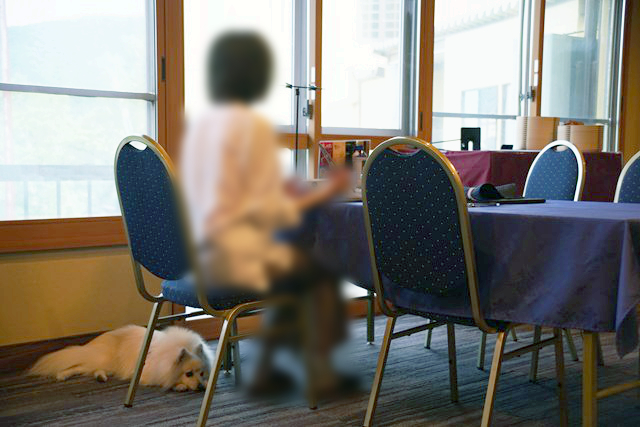 椅子に座る人の足下に寝そべる白いイヌの写真