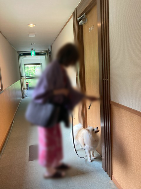 宿の部屋の鍵を開けようとしている人と連れられた白いイヌの写真