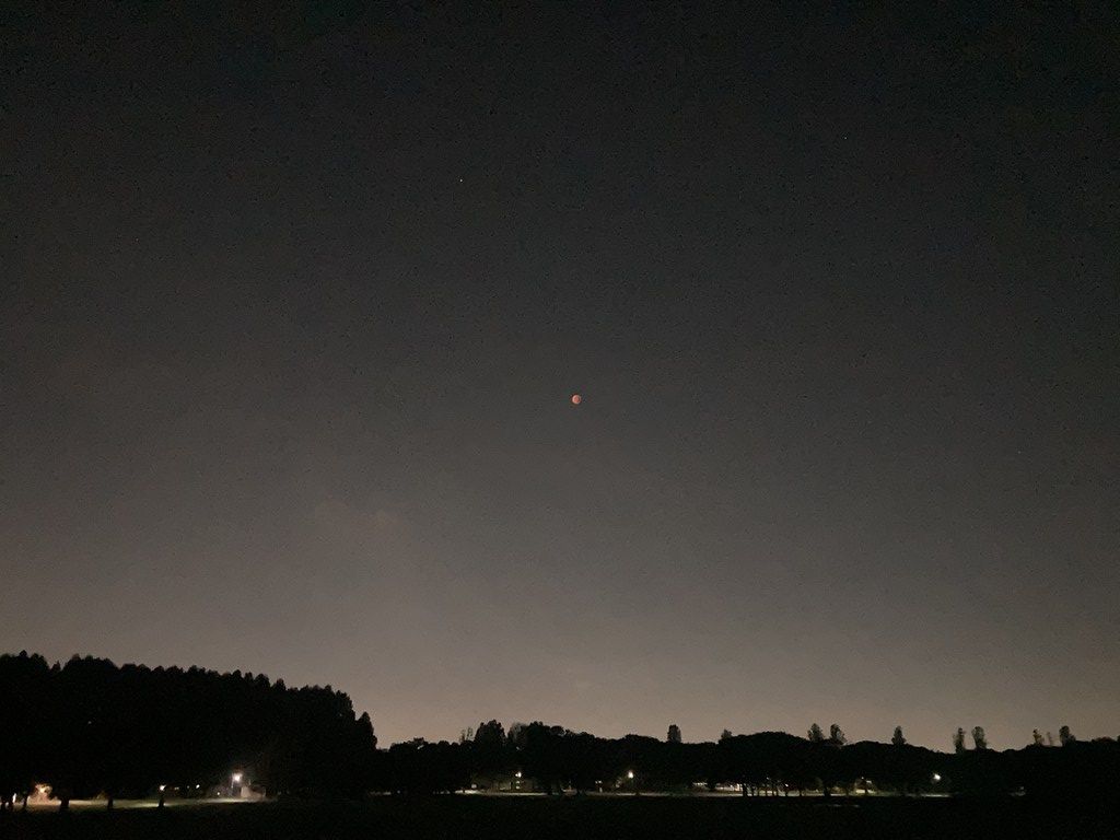 中心に赤銅色の月が、下には人工の灯火とその向こうに林が見える写真