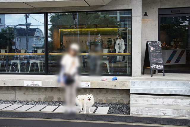 大きなガラス窓の前に立つ白いイヌと人の写真