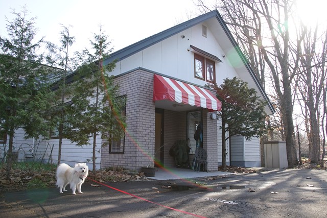 Photo of a white dog standing beside a building with a red-and-white awning. A long red leash extends from the dog toward the viewer