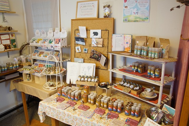 Photo showing many bottles lined up